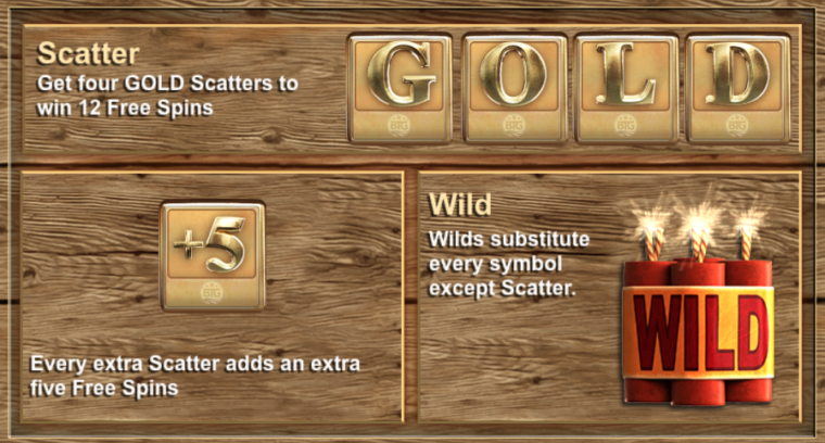 Bonus symbols description